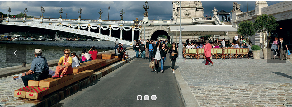 naturalignum-berges-de-la-seine2016-09-15