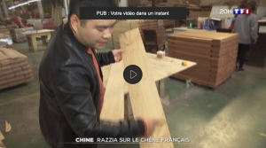 video TF1 Razzia sur le chêne français 2019-03-17