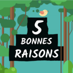 5 bonnes raisons 2020-07-17